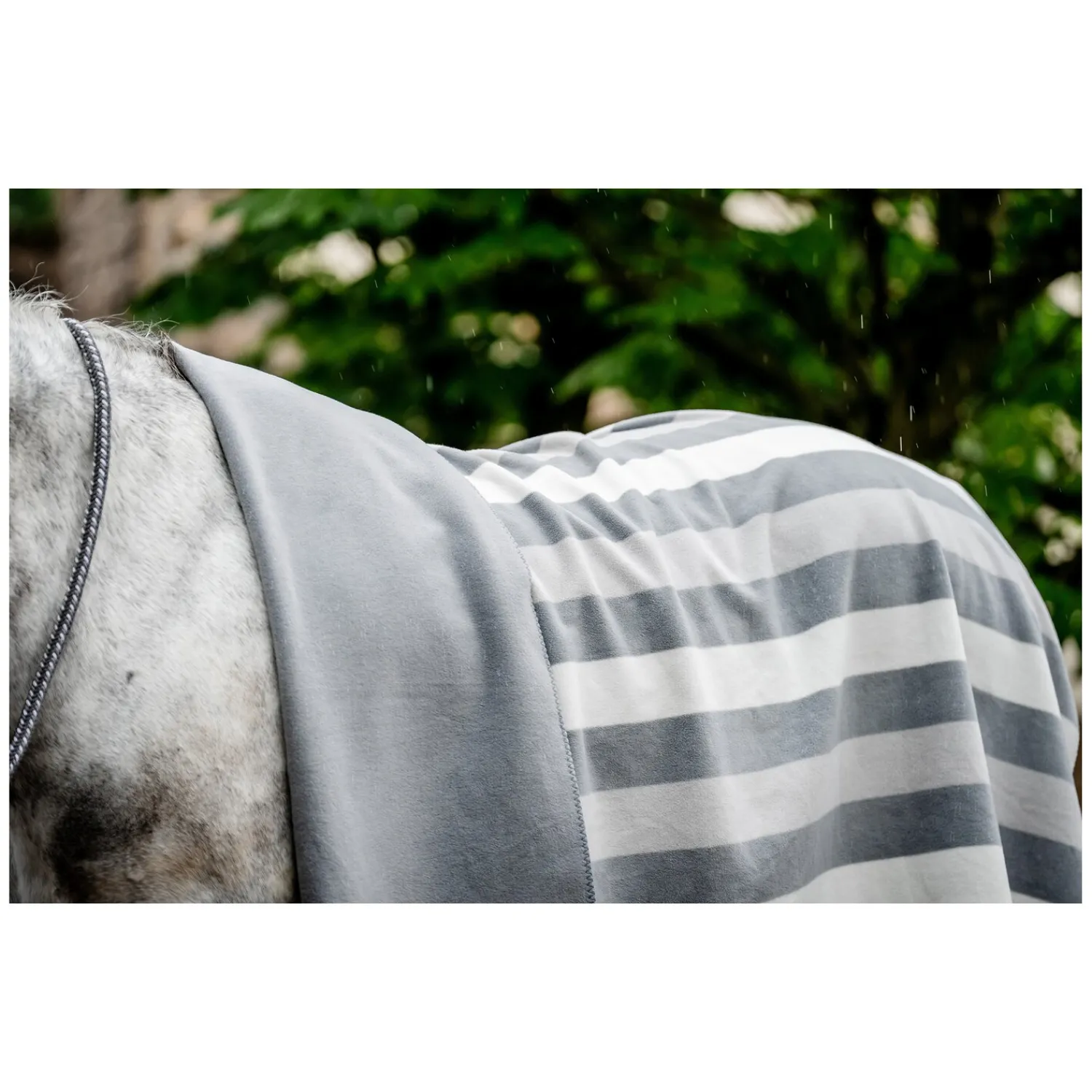 Loesdau Pferdedecken|Transportdecken<HORSEWARE Fleecedecke Newmarket Fleece