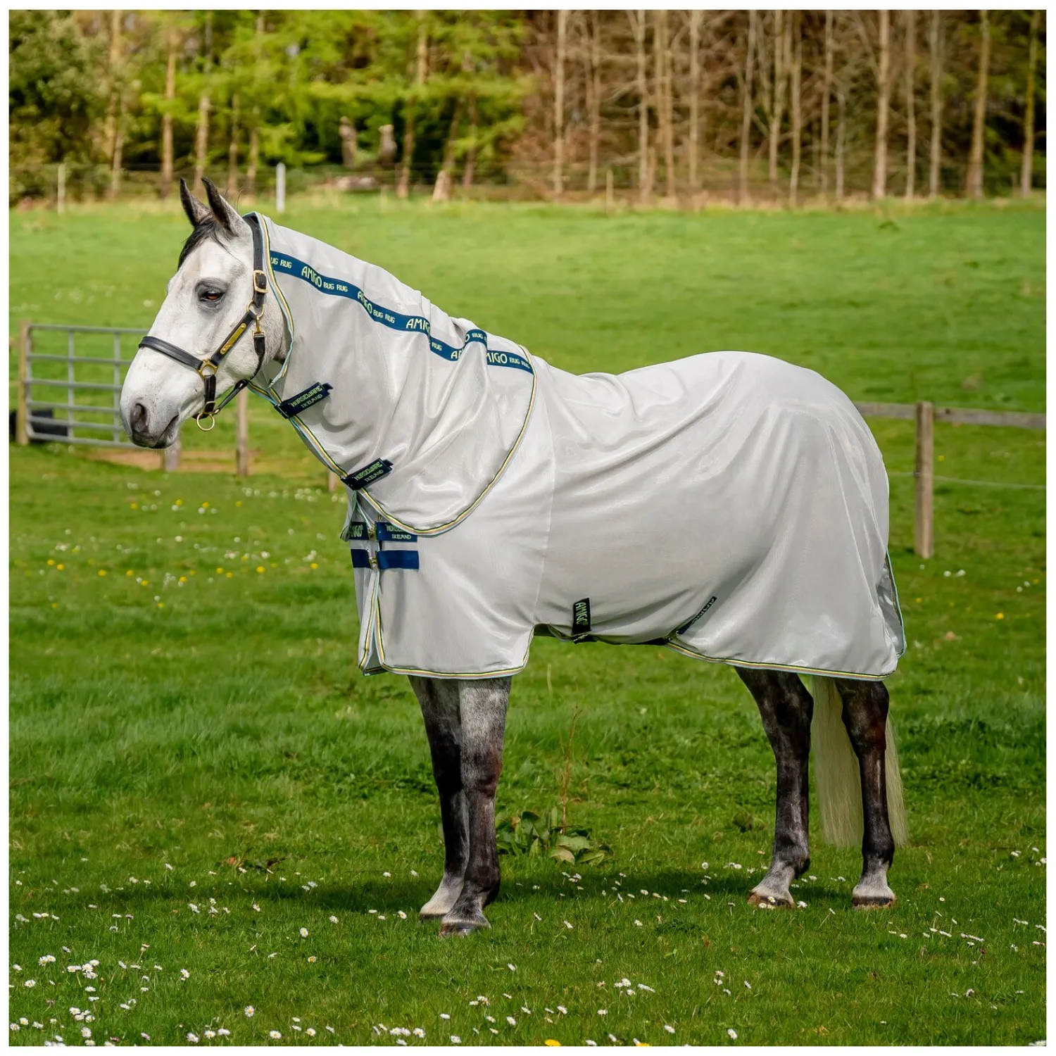 Horseware Fliegendecken|Pferdedecken<Fliegendecke AMIGO Bug Rug