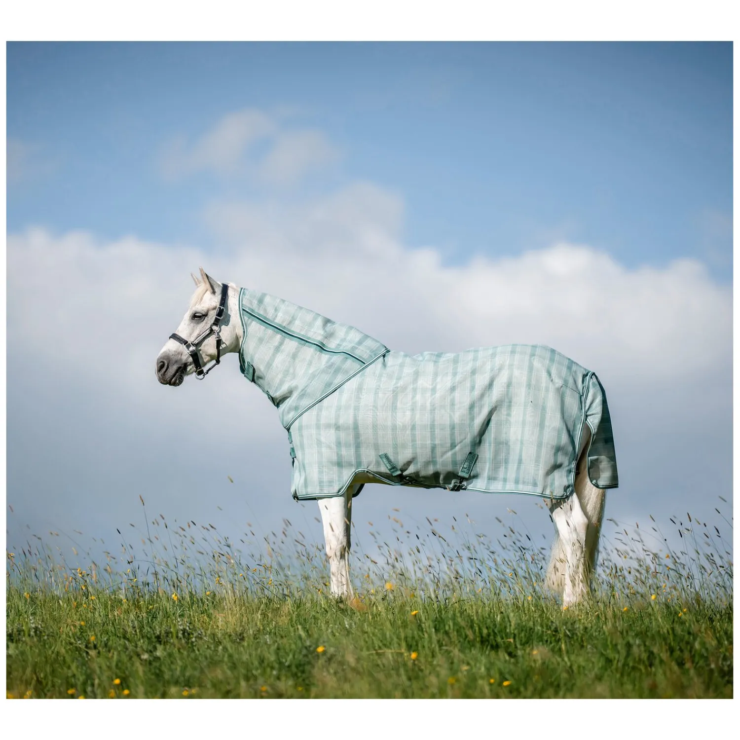 Horseware Fliegendecken|Pferdedecken<Fliegendecke Newmarket Plus