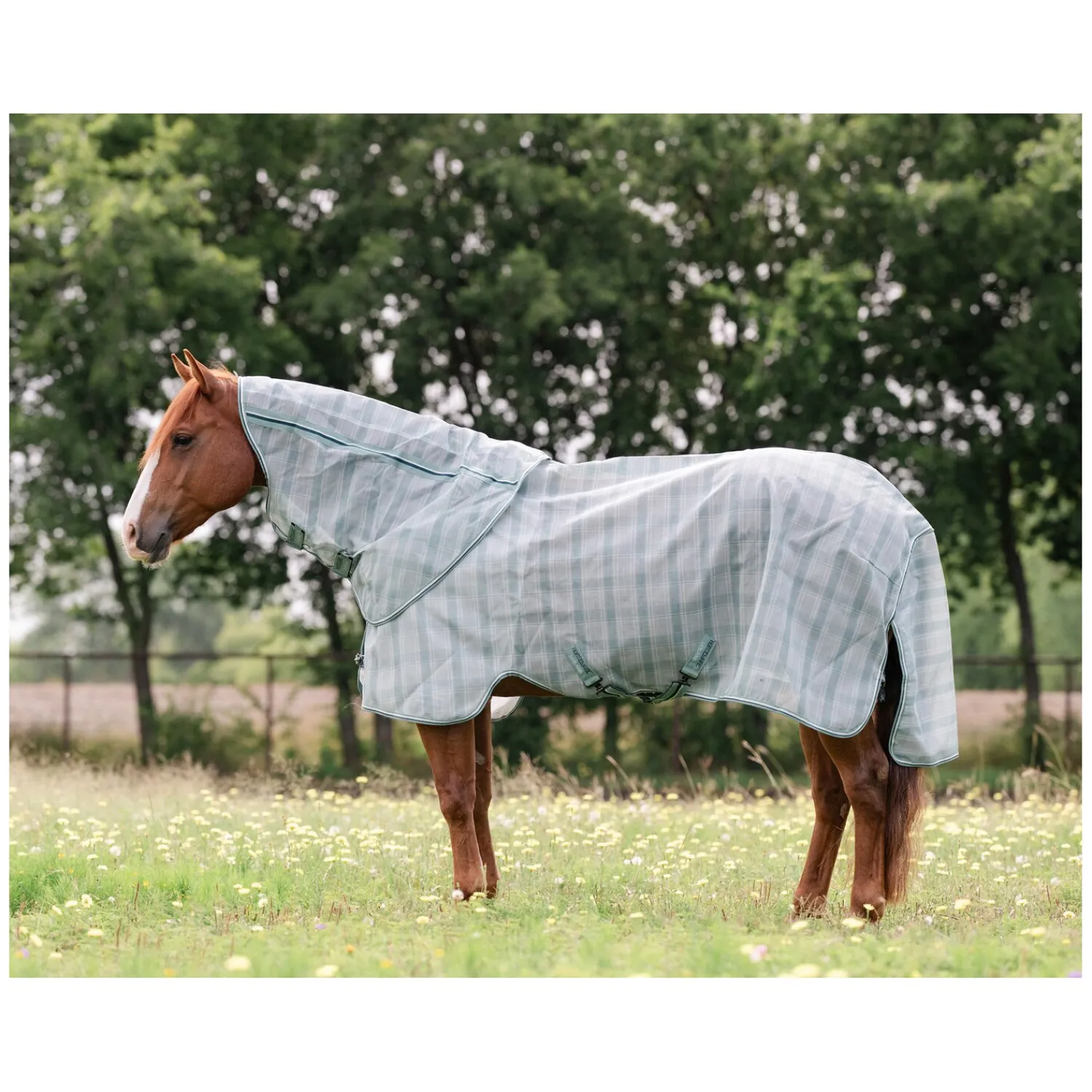 Horseware Fliegendecken|Pferdedecken<Fliegendecke Newmarket Quarter Plus