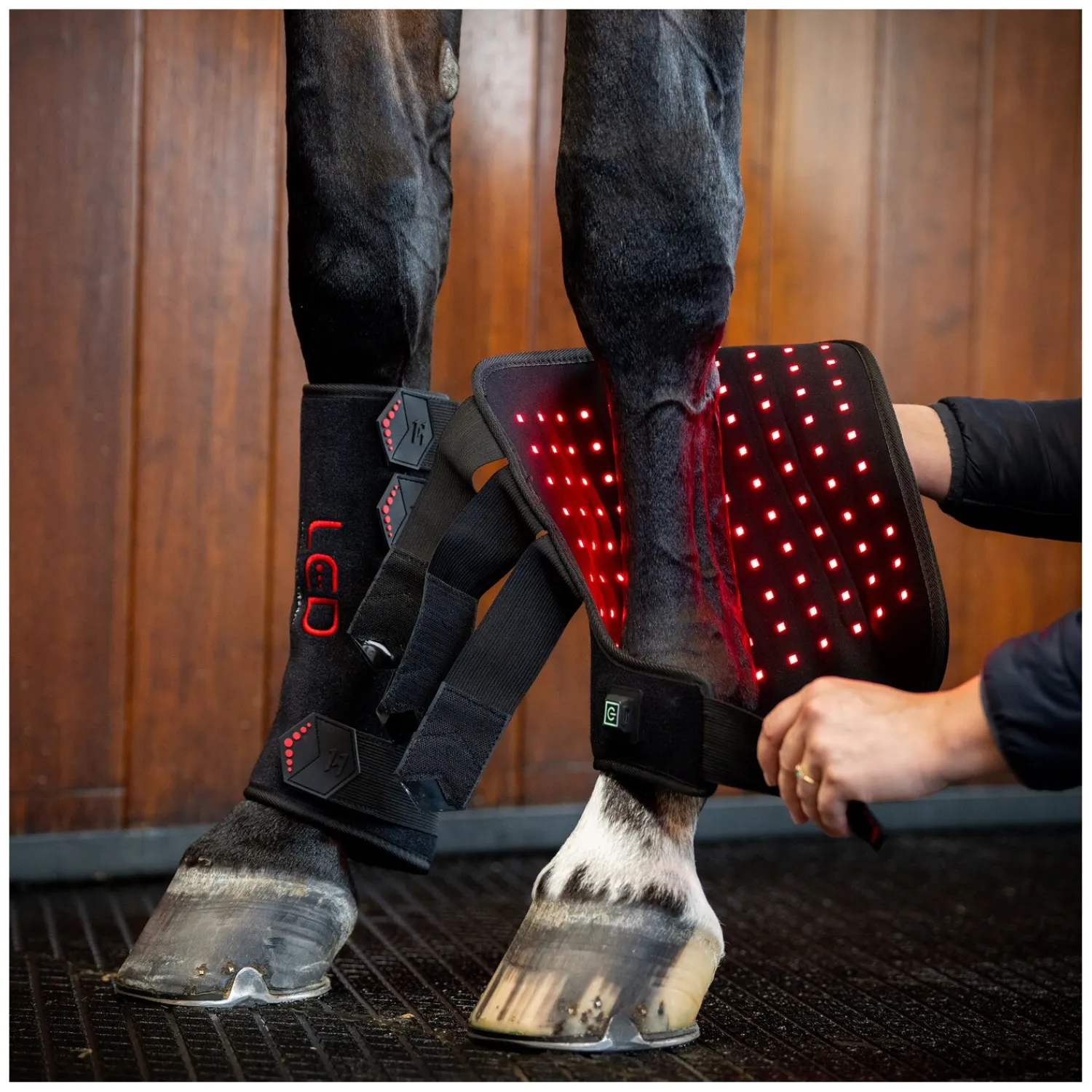 Horseware Gamaschen|Therapie<Gamasche LED Red Light Therapy Leg Wraps, für die Vorderbeine