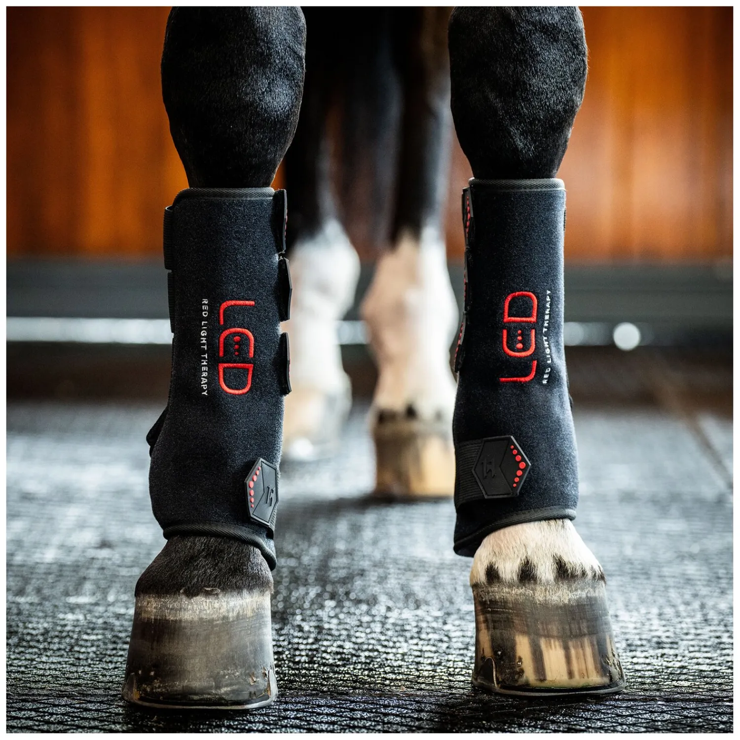 Horseware Gamaschen|Therapie<Gamasche LED Red Light Therapy Leg Wraps, für die Vorderbeine