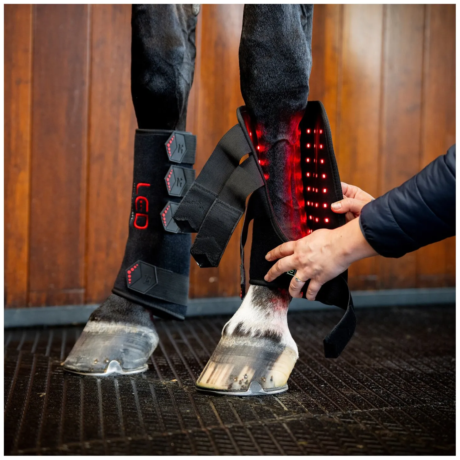 Horseware Gamaschen|Therapie<Gamasche LED Red Light Therapy Leg Wraps, für die Vorderbeine