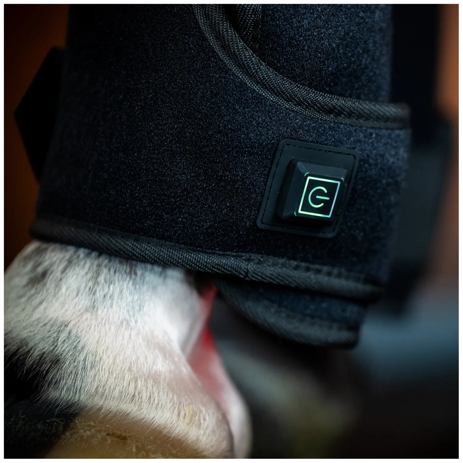 Horseware Gamaschen|Therapie<Gamasche LED Red Light Therapy Leg Wraps, für die Vorderbeine
