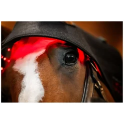 Loesdau Therapie<HORSEWARE Genickhaube LED Red Light Therapy