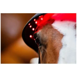 Loesdau Therapie<HORSEWARE Genickhaube LED Red Light Therapy