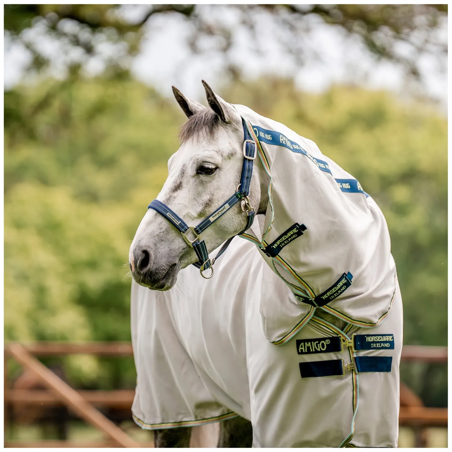 Horseware Halfter<Halfter Fieldsafe