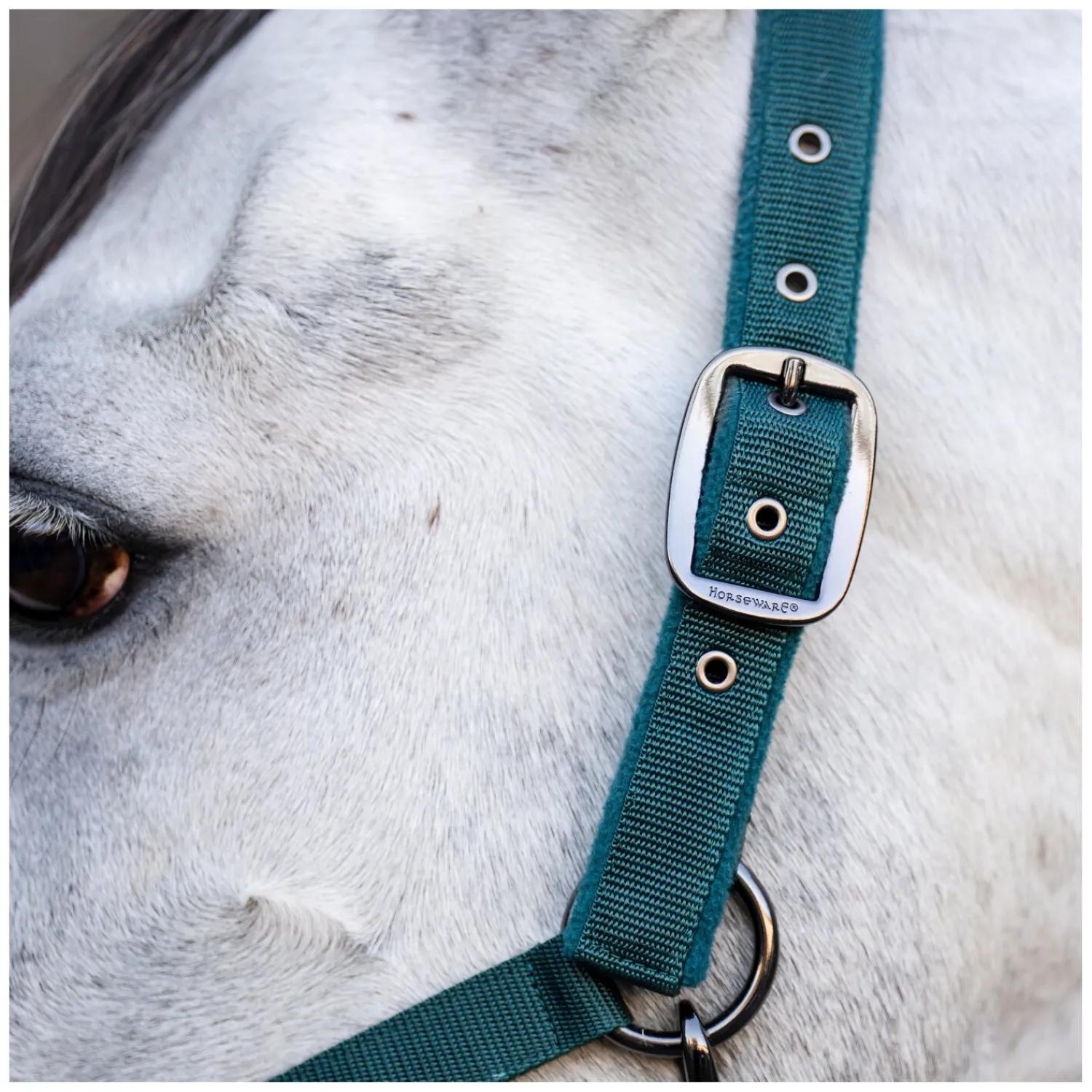 Horseware Halfter|Führstricke<Halfter und Führstrick