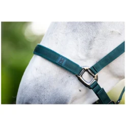 Horseware Halfter|Führstricke<Halfter und Führstrick