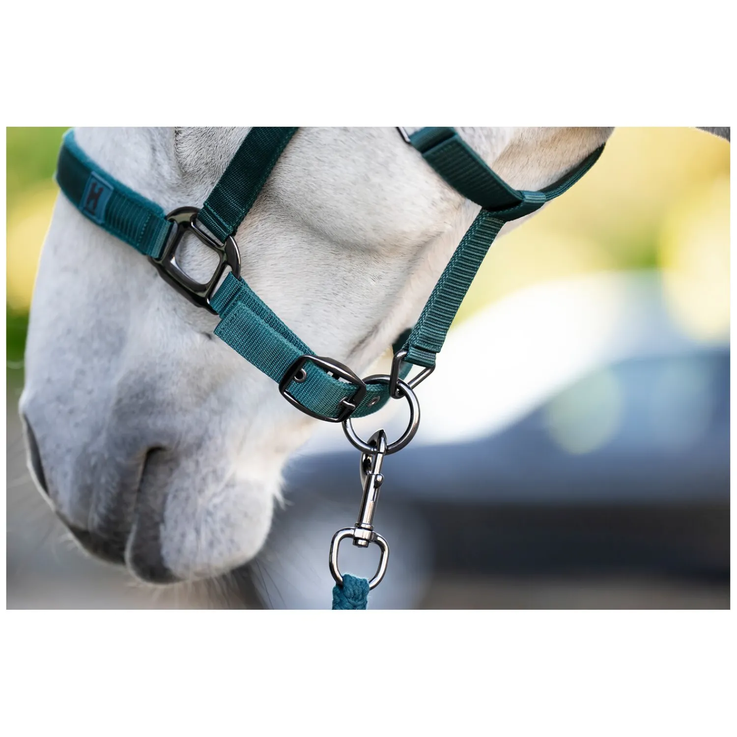 Horseware Halfter|Führstricke<Halfter und Führstrick