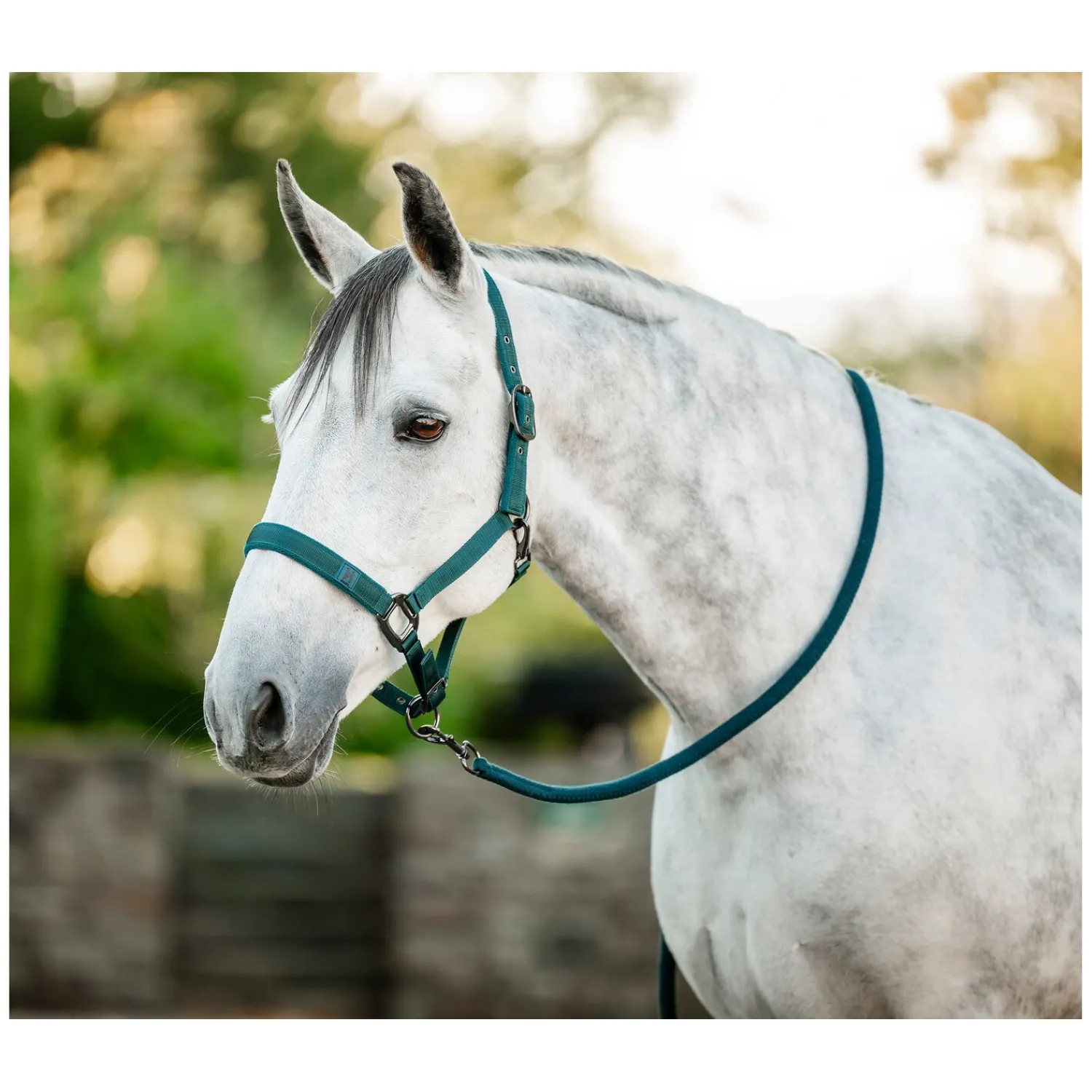 Horseware Halfter|Führstricke<Halfter und Führstrick