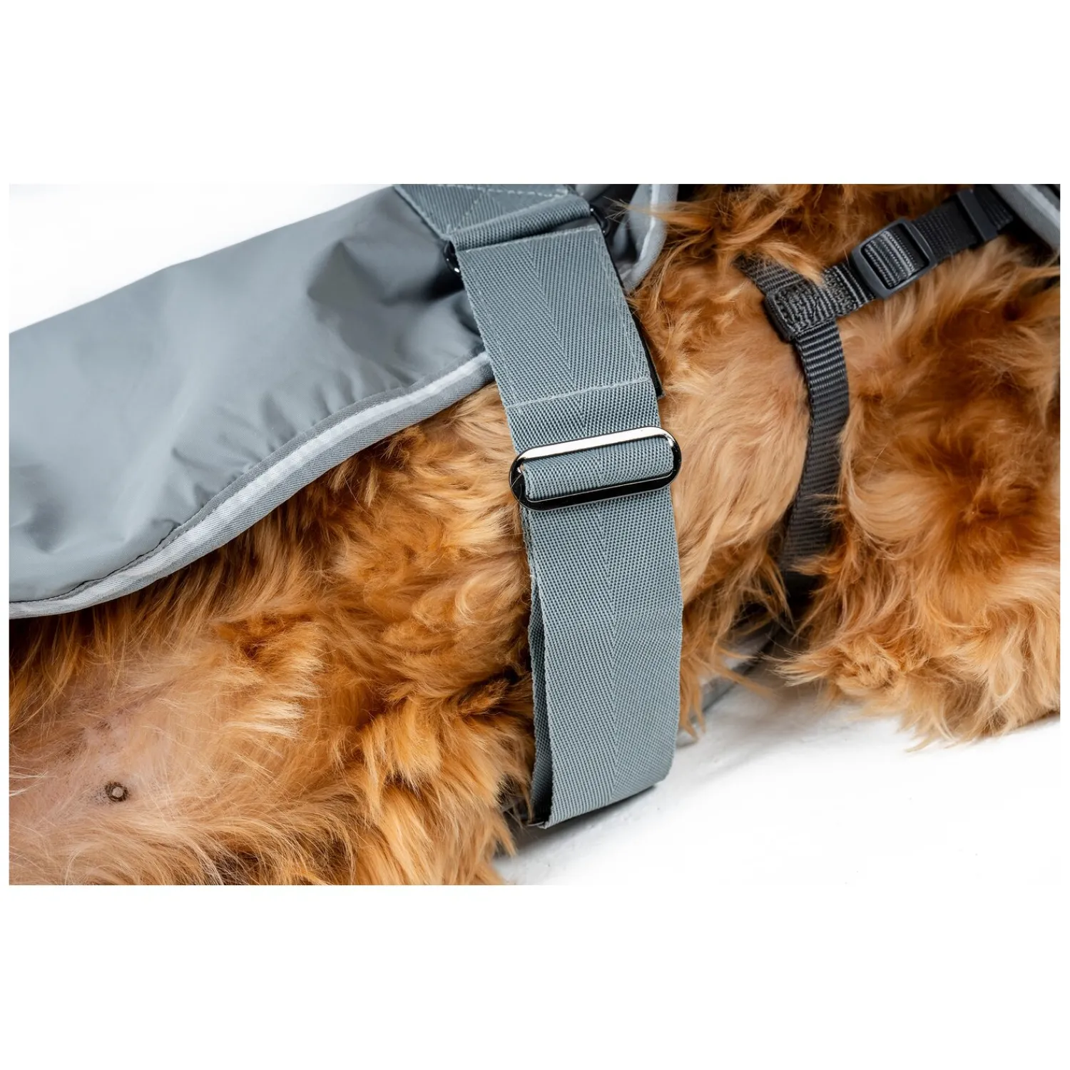 Horseware Hundemäntel<Hundemantel Newmarket Dog Coat
