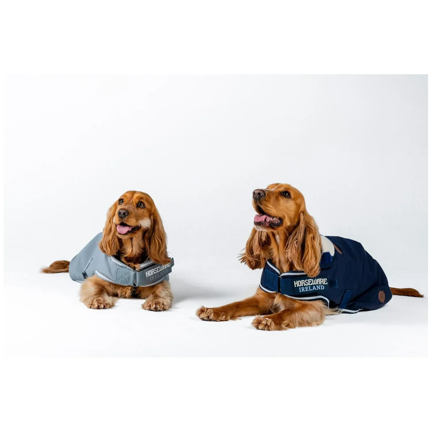 Horseware Hundemäntel<Hundemantel Newmarket Dog Coat