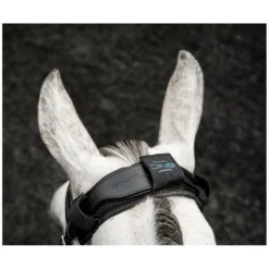 Loesdau Abkühlen Und Regenerieren|Trensen<HORSEWARE Ionic Poll Cover