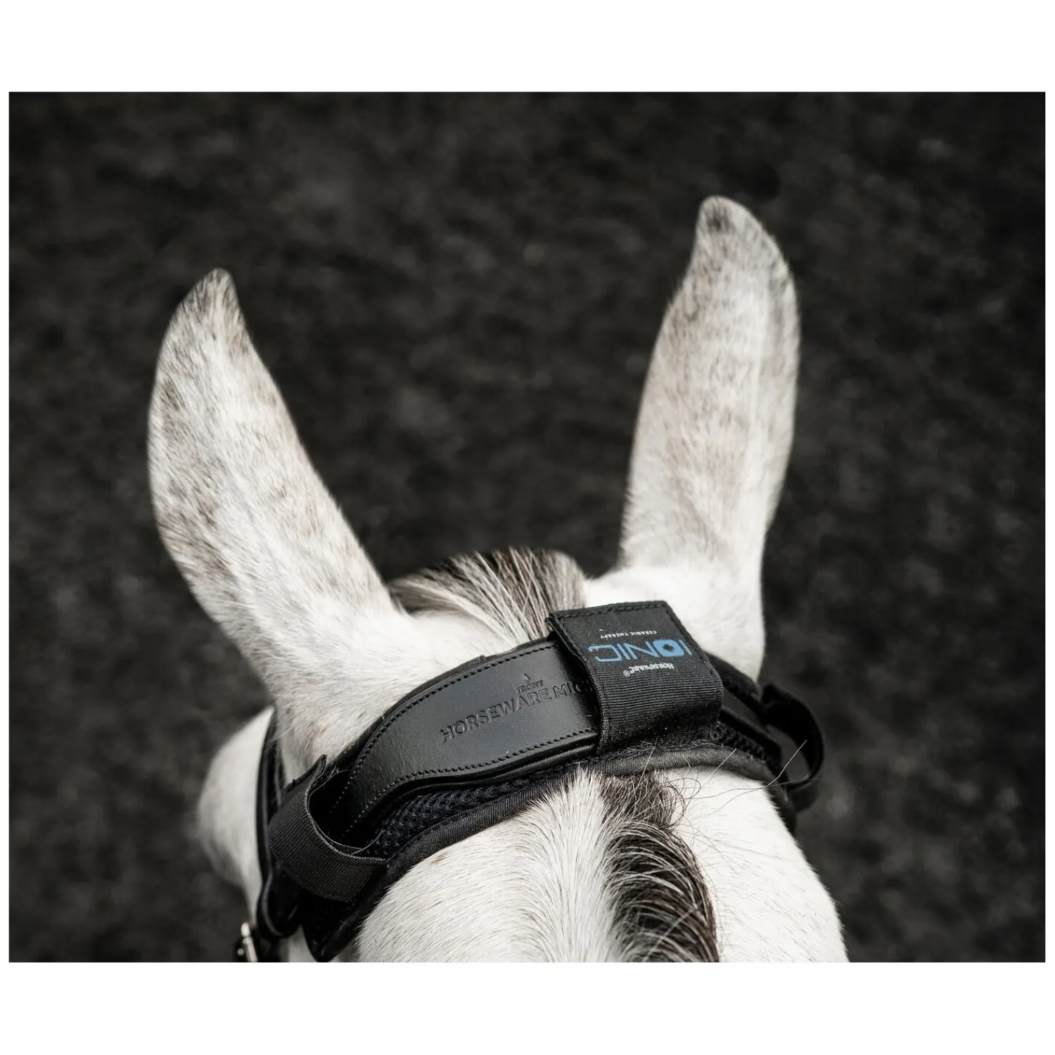Loesdau Abkühlen Und Regenerieren|Trensen<HORSEWARE Ionic Poll Cover