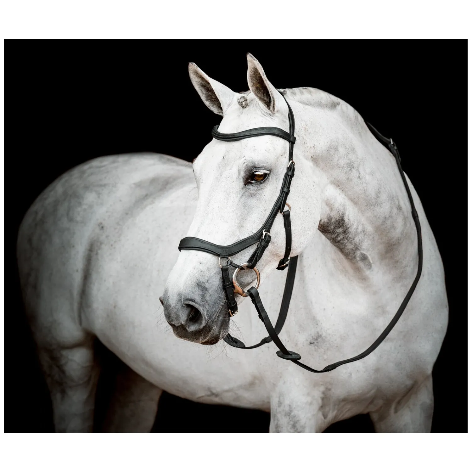 Horseware Trensen<Micklem 2 Competion Bridle