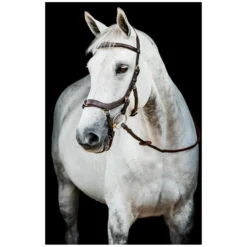 Loesdau Kappzäume|Gebisslose Trensen<HORSEWARE Micklem 2 Multi Bridle