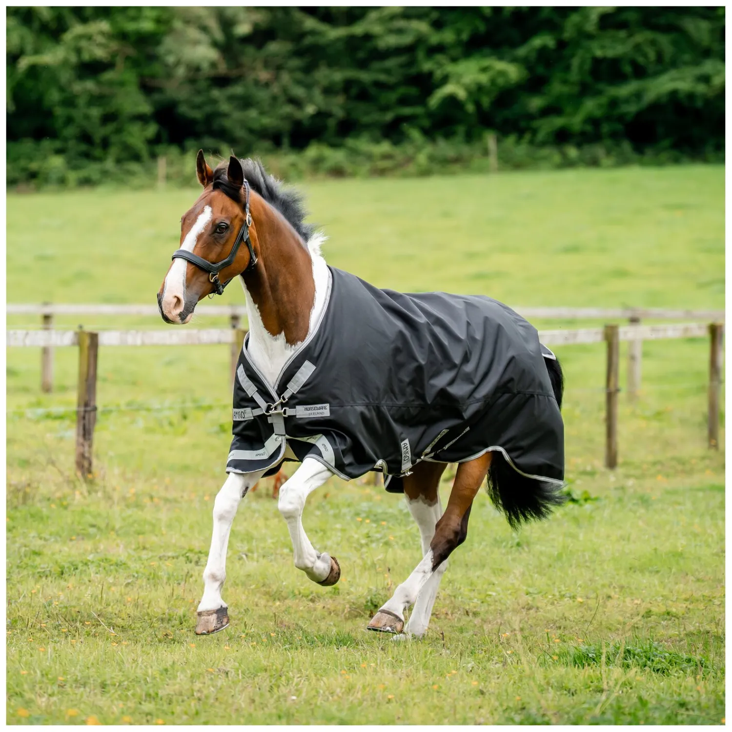 Horseware Pferdedecken<Outdoordecke AMIGO 1200D, 0 g