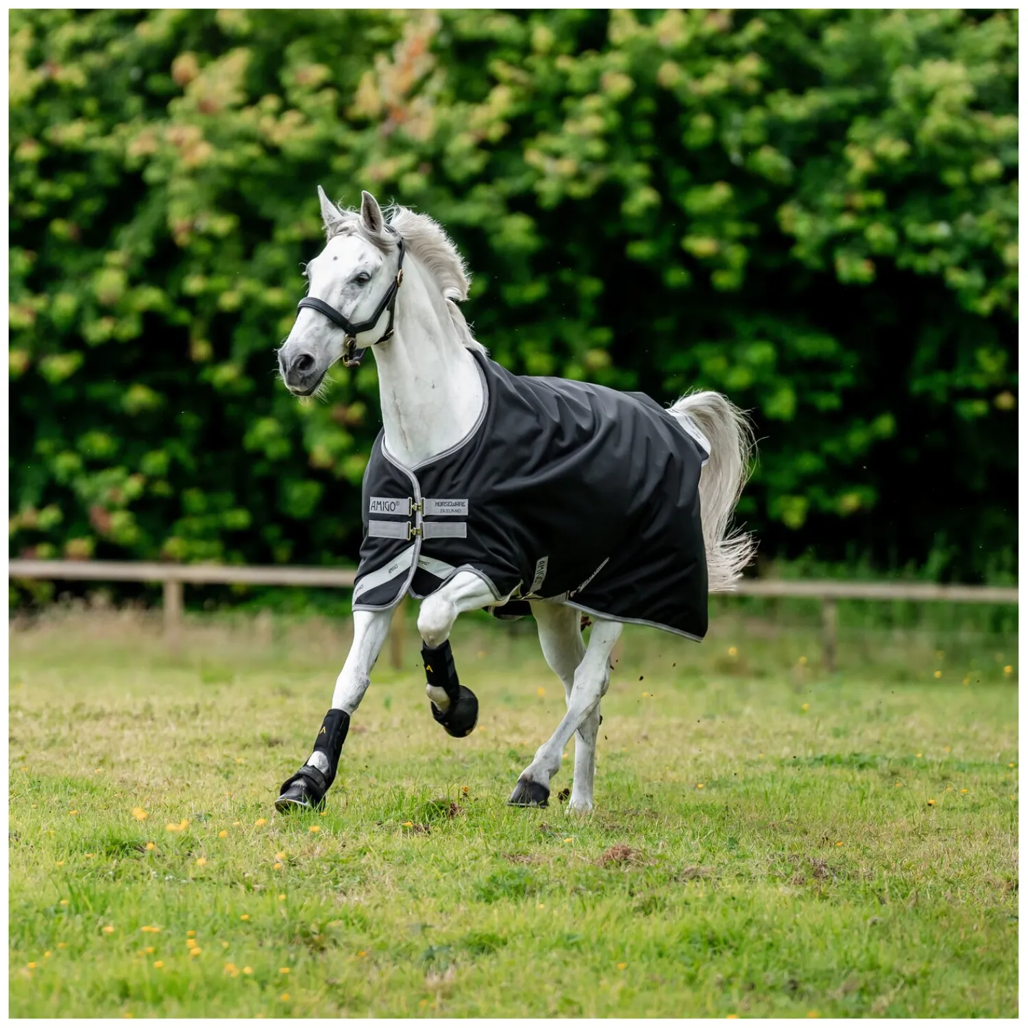 Horseware Pferdedecken<Outdoordecke AMIGO 12, 250 g