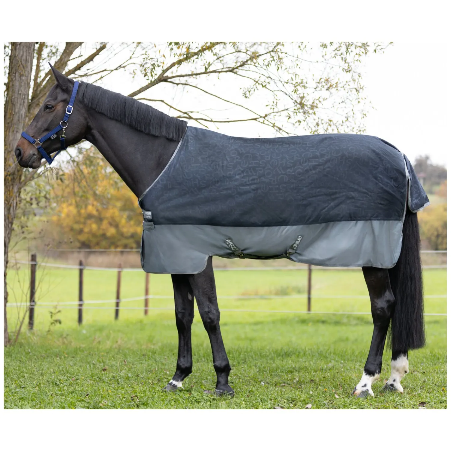 Horseware Pferdedecken<Outdoordecke AMIGO Hero Ripstop 100g