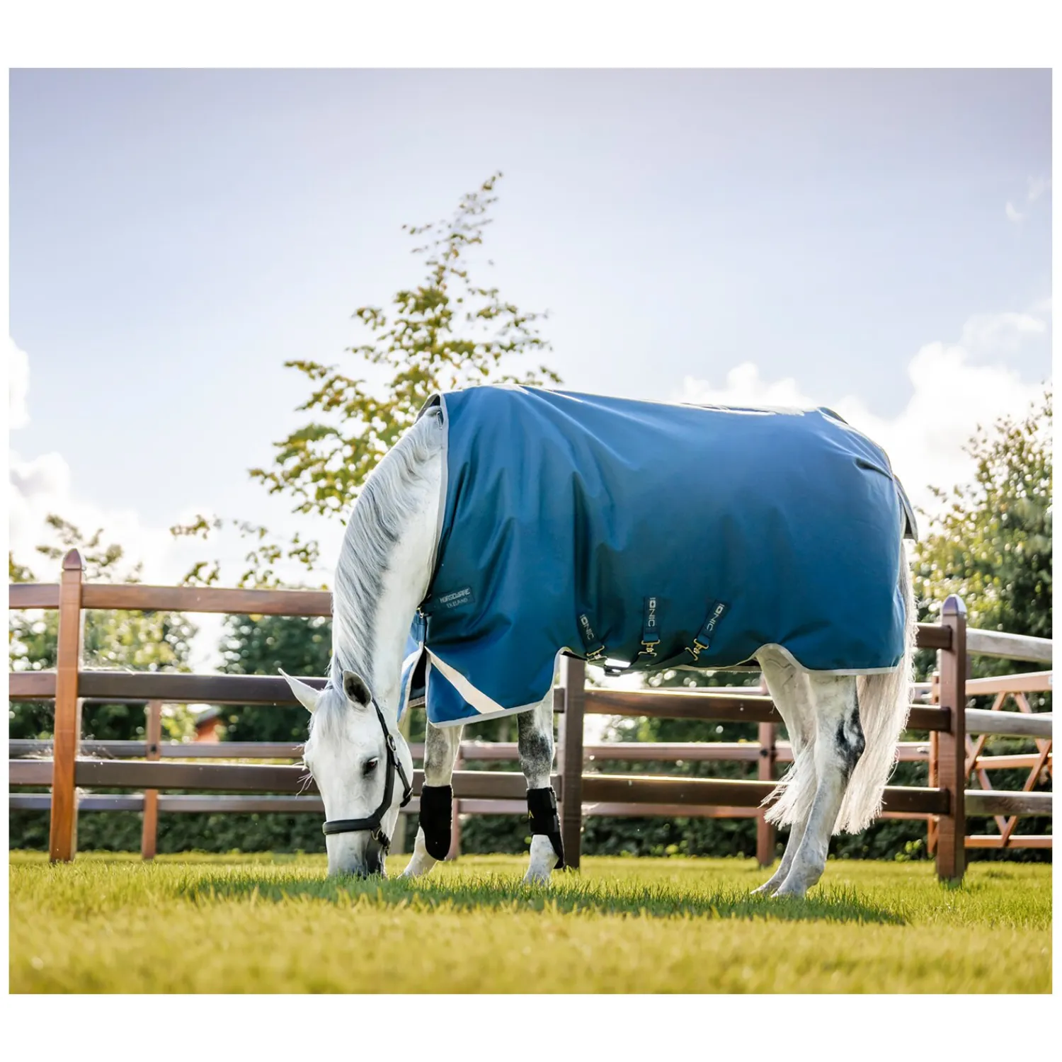 Horseware Therapie|Pferdedecken<Outdoordecke Ionic Therapy Turnout 100g