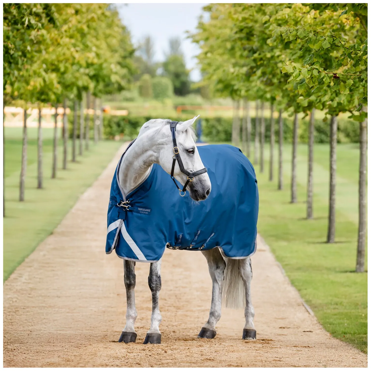 Horseware Therapie|Pferdedecken<Outdoordecke Ionic Therapy Turnout 100g