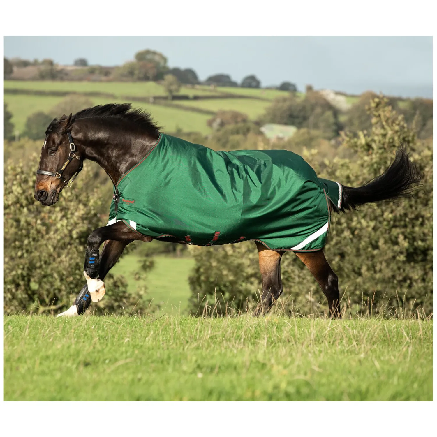 Loesdau Pferdedecken<HORSEWARE Outdoordecke RAMBO Original Lite 100 g
