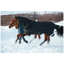 Horseware Pferdedecken<Outdoor- und Weidedecke AMIGO Super Bravo Plus