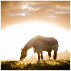Horseware Pferdedecken<Outdoor-/Weidedecke RAMBO Autumn Series