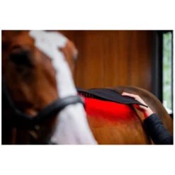 Loesdau Therapie<HORSEWARE Pad LED Red Light Therapy