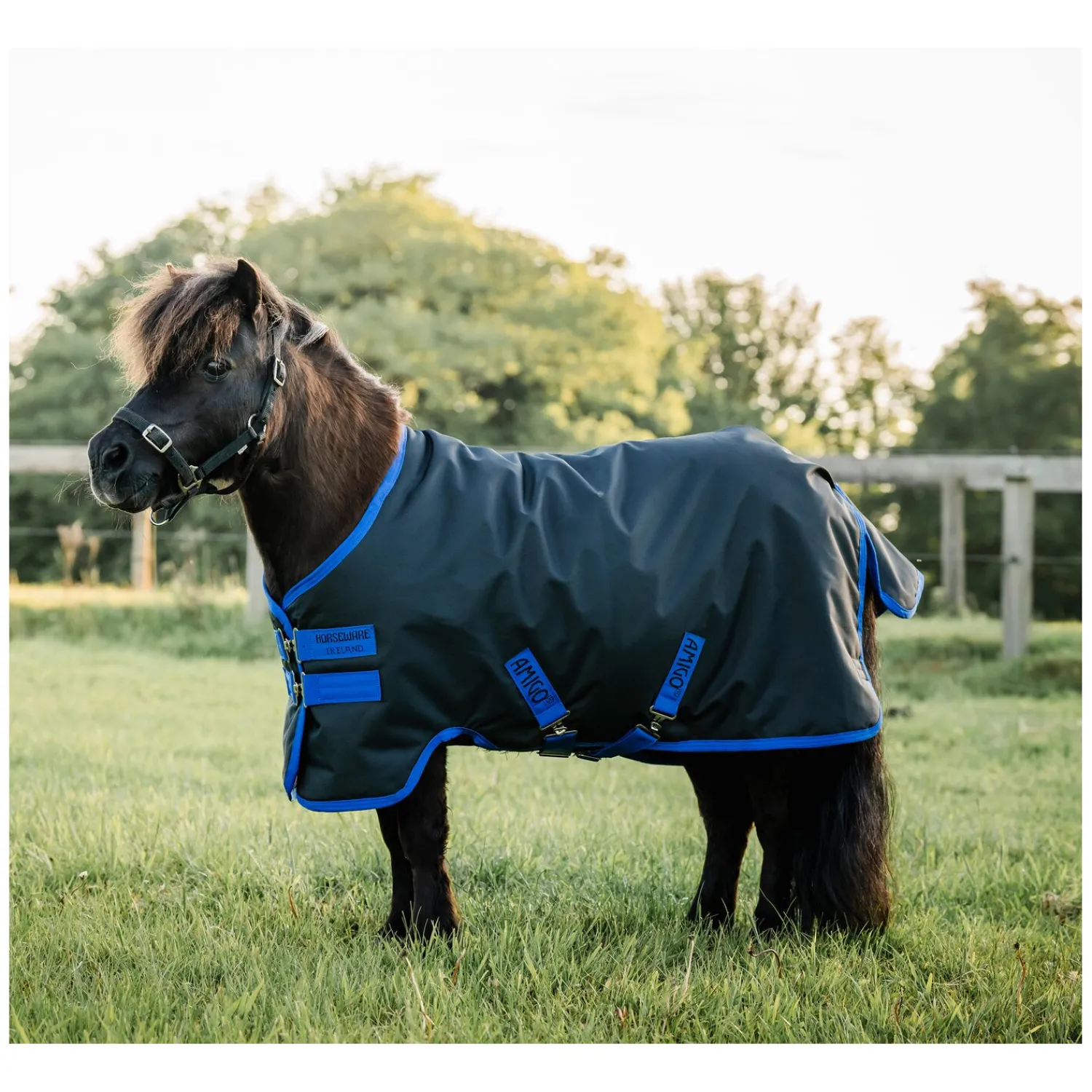 Horseware Pferdedecken<Pony-Outdoordecke AMIGO Ripstop 900D, 100 g