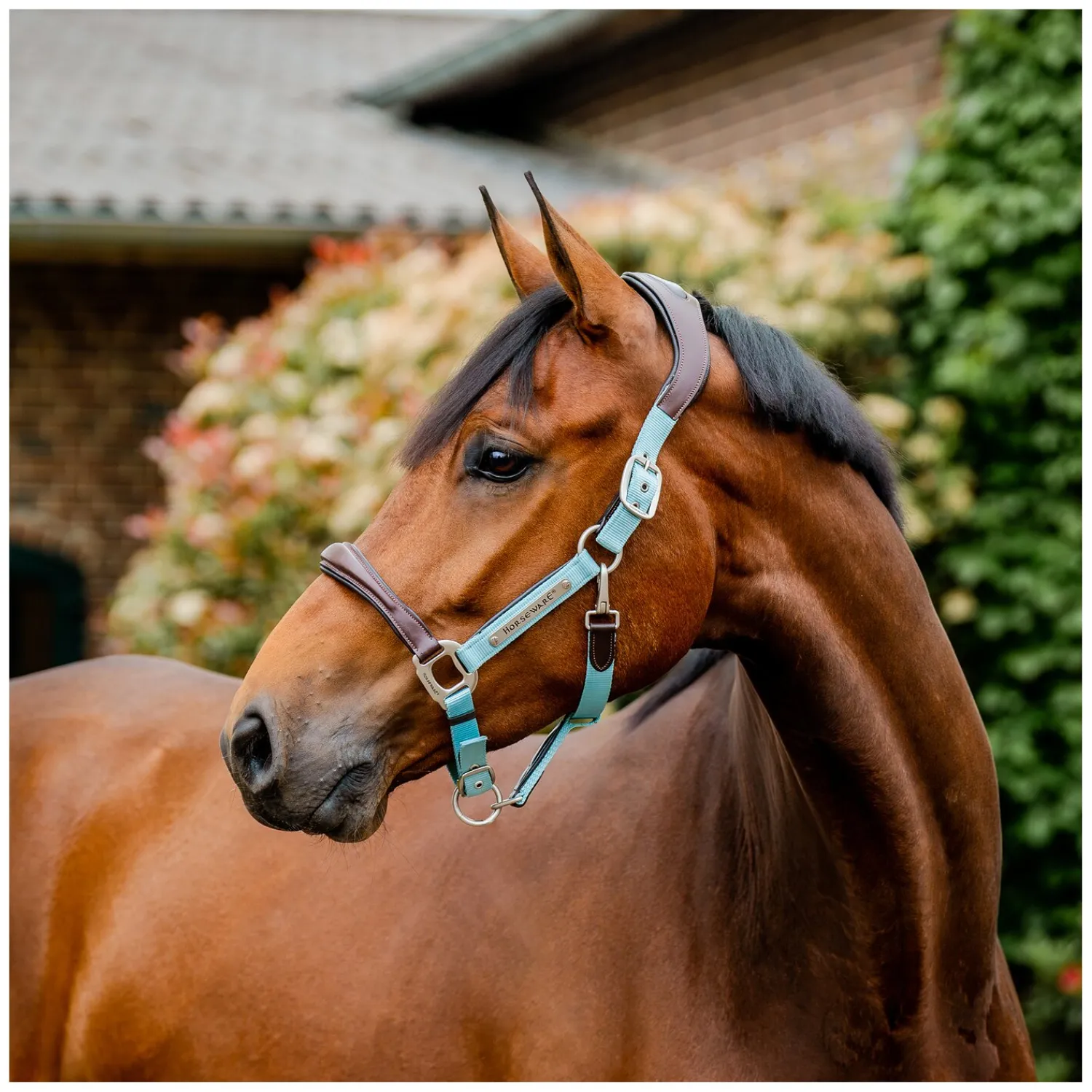 Horseware Halfter<Signature Halfter