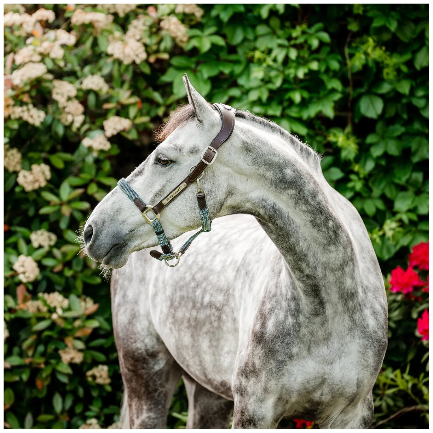Horseware Halfter<Signature Halfter Braided