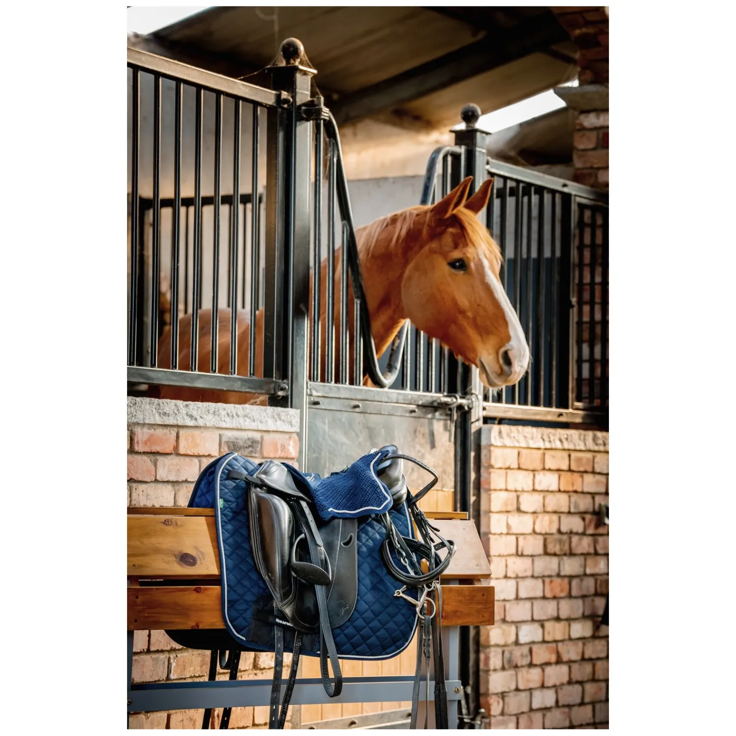 Loesdau Sättel & Zubehör|Schabracken<HORSEWARE Signature Schabracke