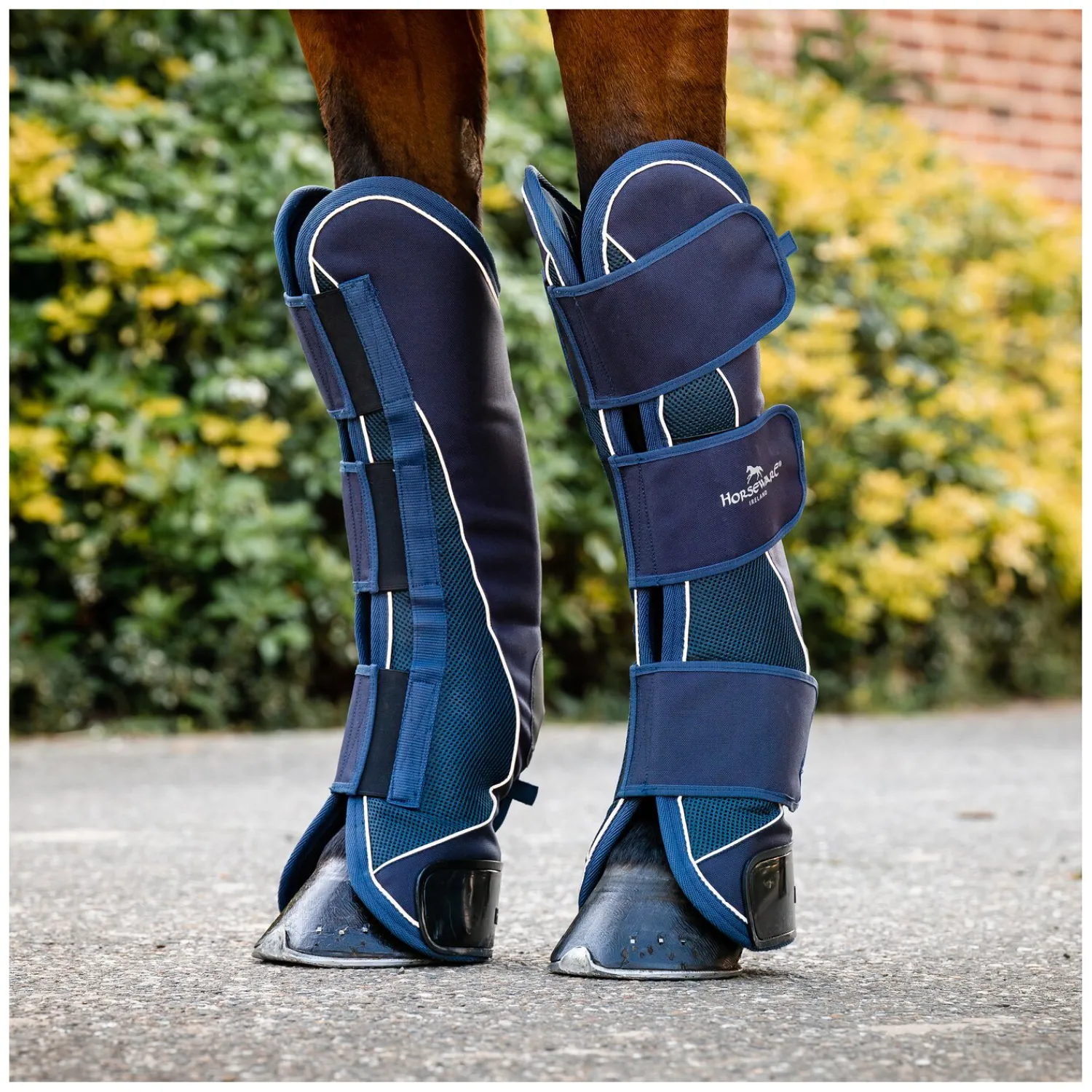 Horseware Transportgamaschen|Gamaschen<Signature Transportgamaschen