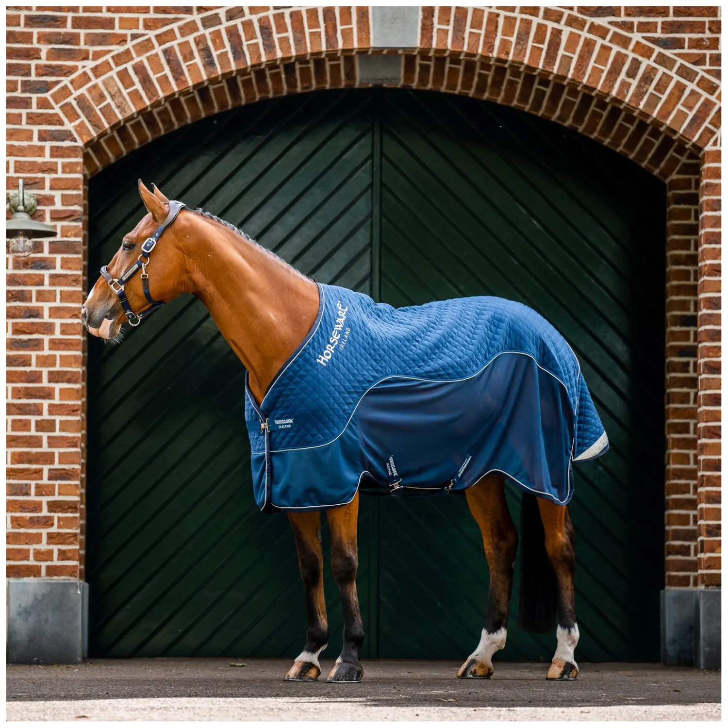 Horseware Pferdedecken|Transportdecken<Signature Transportdecke
