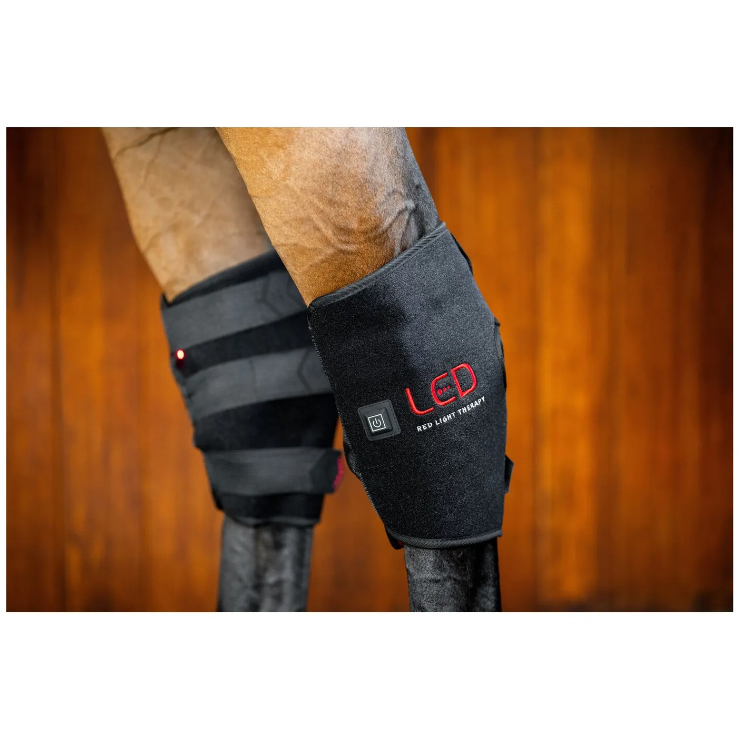 Horseware Gamaschen|Therapie<Sprunggelenkgamasche LED Red Light Therapy