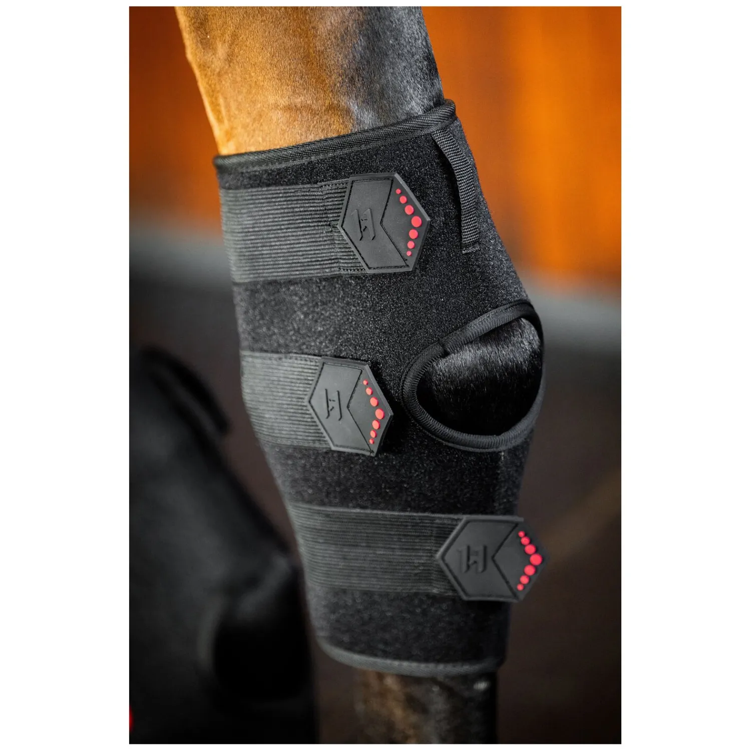 Horseware Gamaschen|Therapie<Sprunggelenkgamasche LED Red Light Therapy