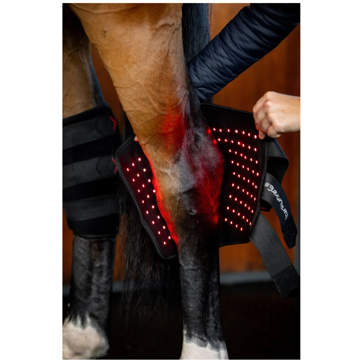 Horseware Gamaschen|Therapie<Sprunggelenkgamasche LED Red Light Therapy