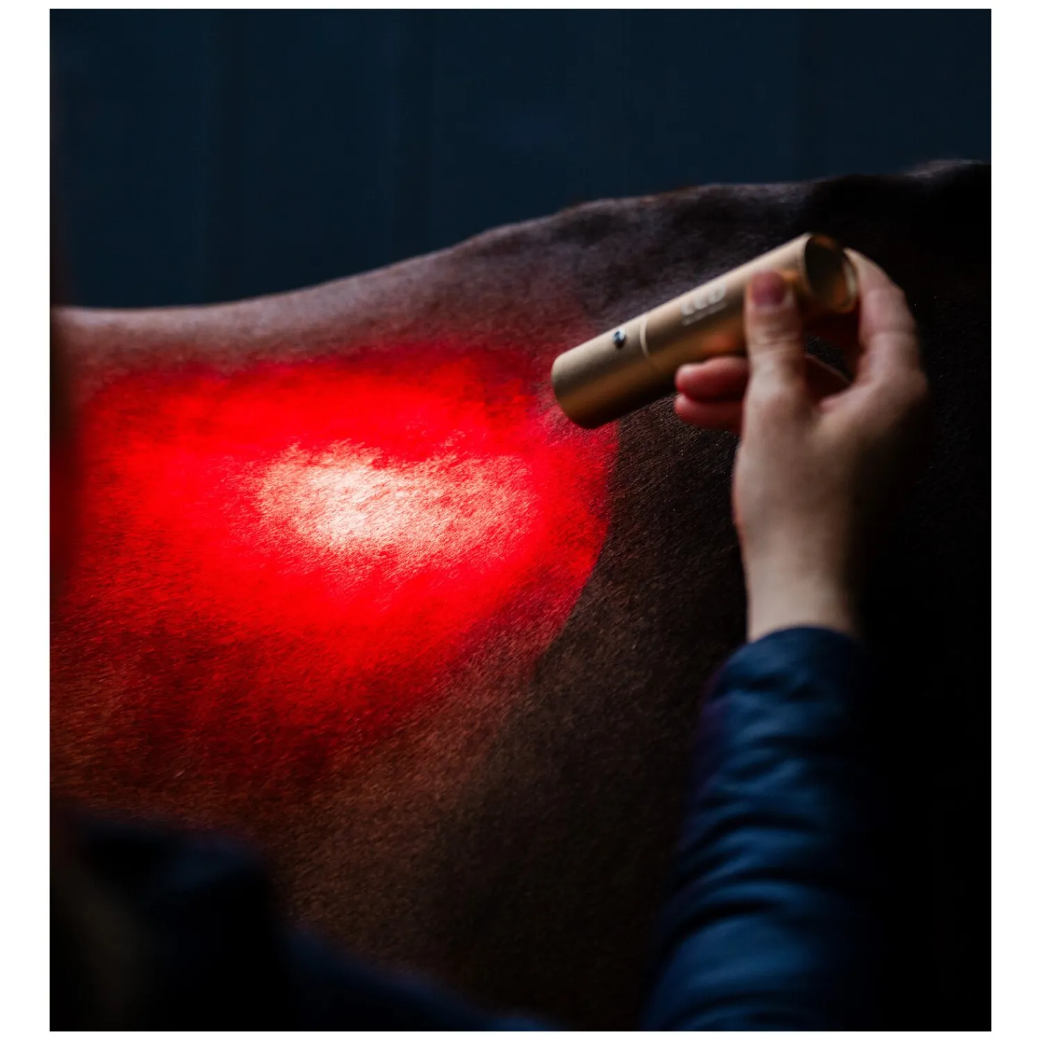 Loesdau Therapie<HORSEWARE Therapiestab LED Red Light Therapy