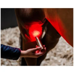Loesdau Therapie<HORSEWARE Therapiestab LED Red Light Therapy