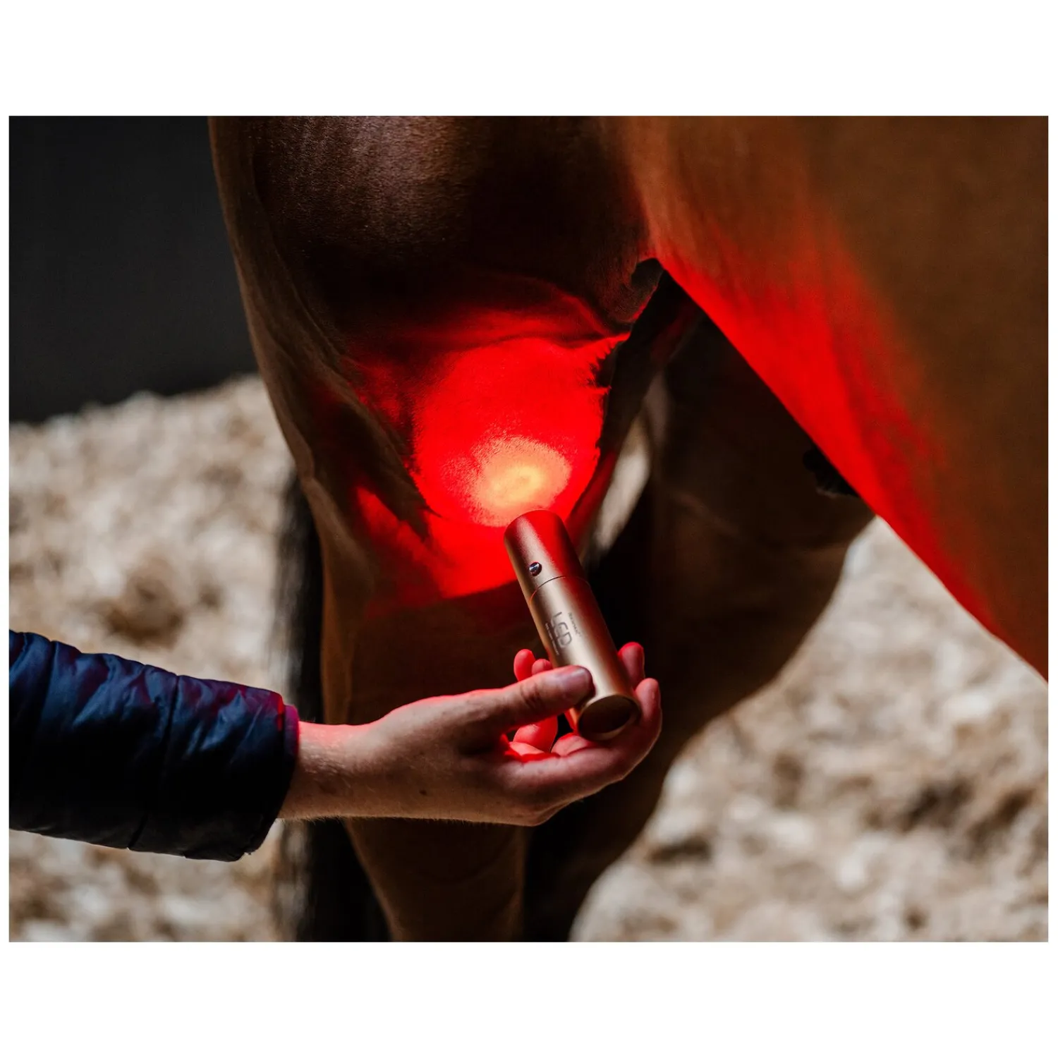 Loesdau Therapie<HORSEWARE Therapiestab LED Red Light Therapy