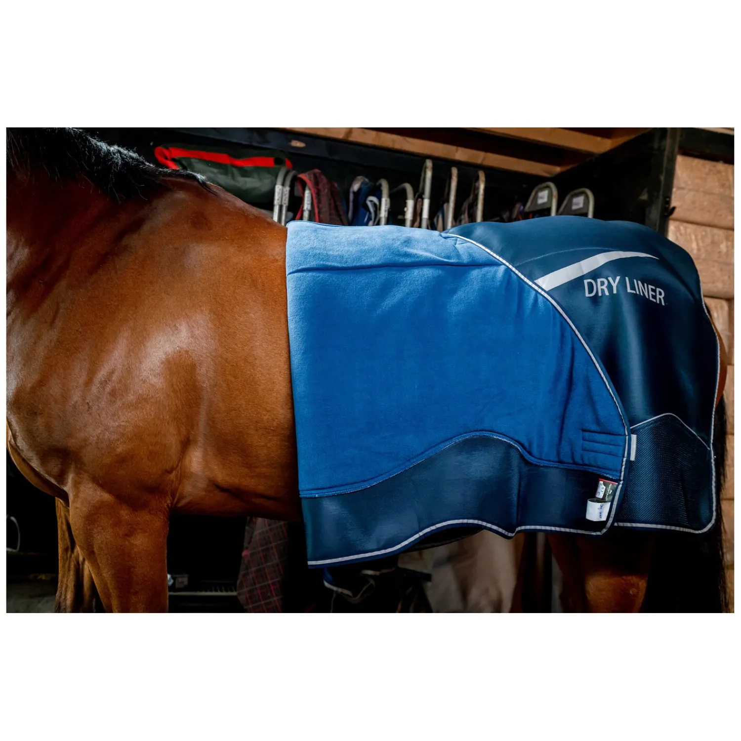 Horseware Pferdedecken<Unterdecke Dry Liner