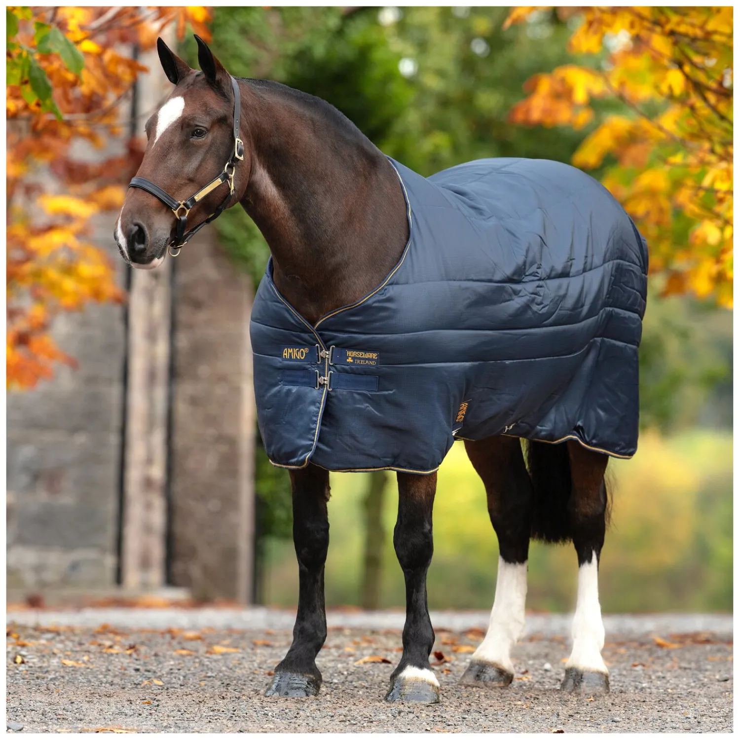 Horseware Pferdedecken<Unterdecke XL-Liner 200 g