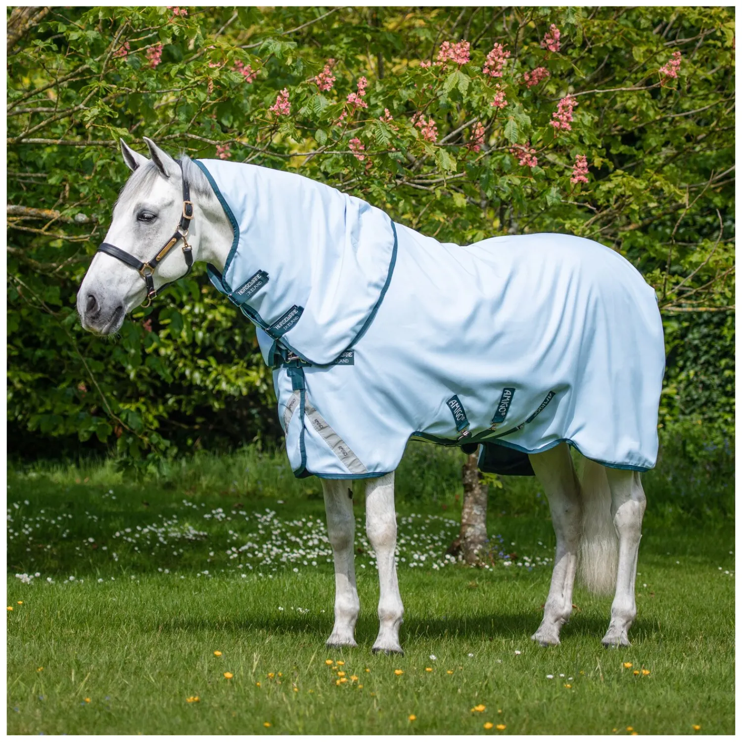 Horseware Pferdedecken<Weidedecke AMIGO Plant-Dye