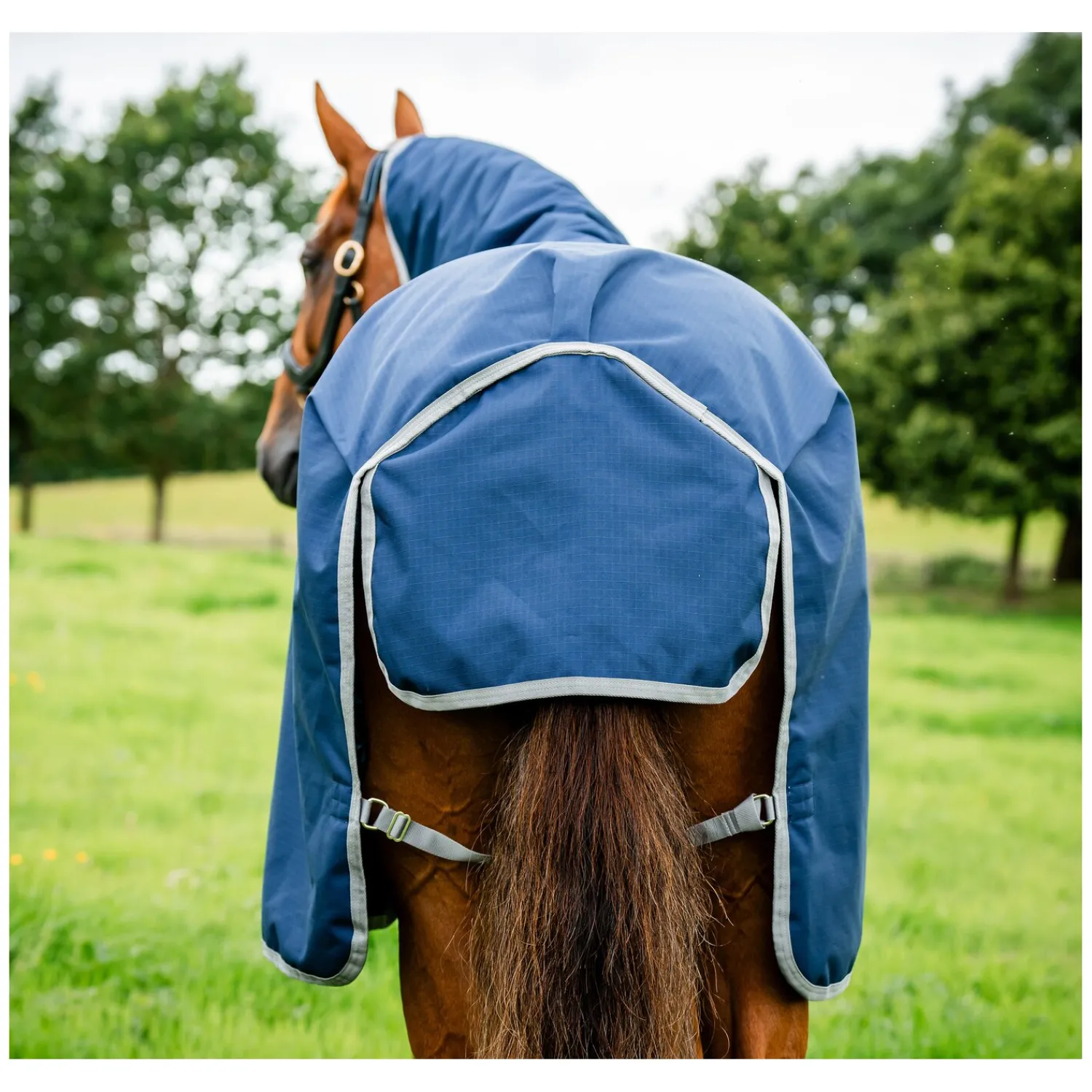 Horseware Pferdedecken<Weidedecke AMIGO Ripstop 900D Plus, 100g