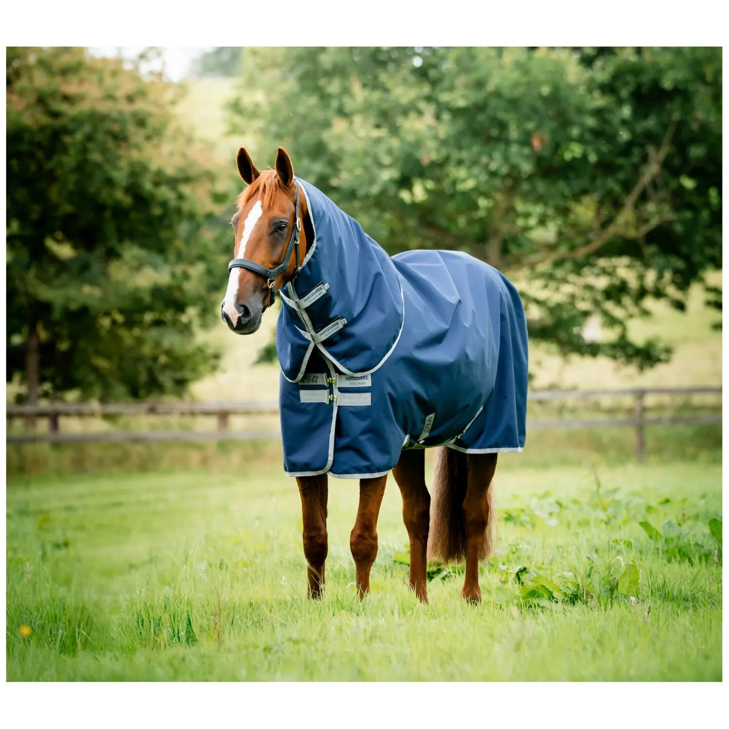 Horseware Pferdedecken<Weidedecke AMIGO Ripstop 900D Plus, 100g