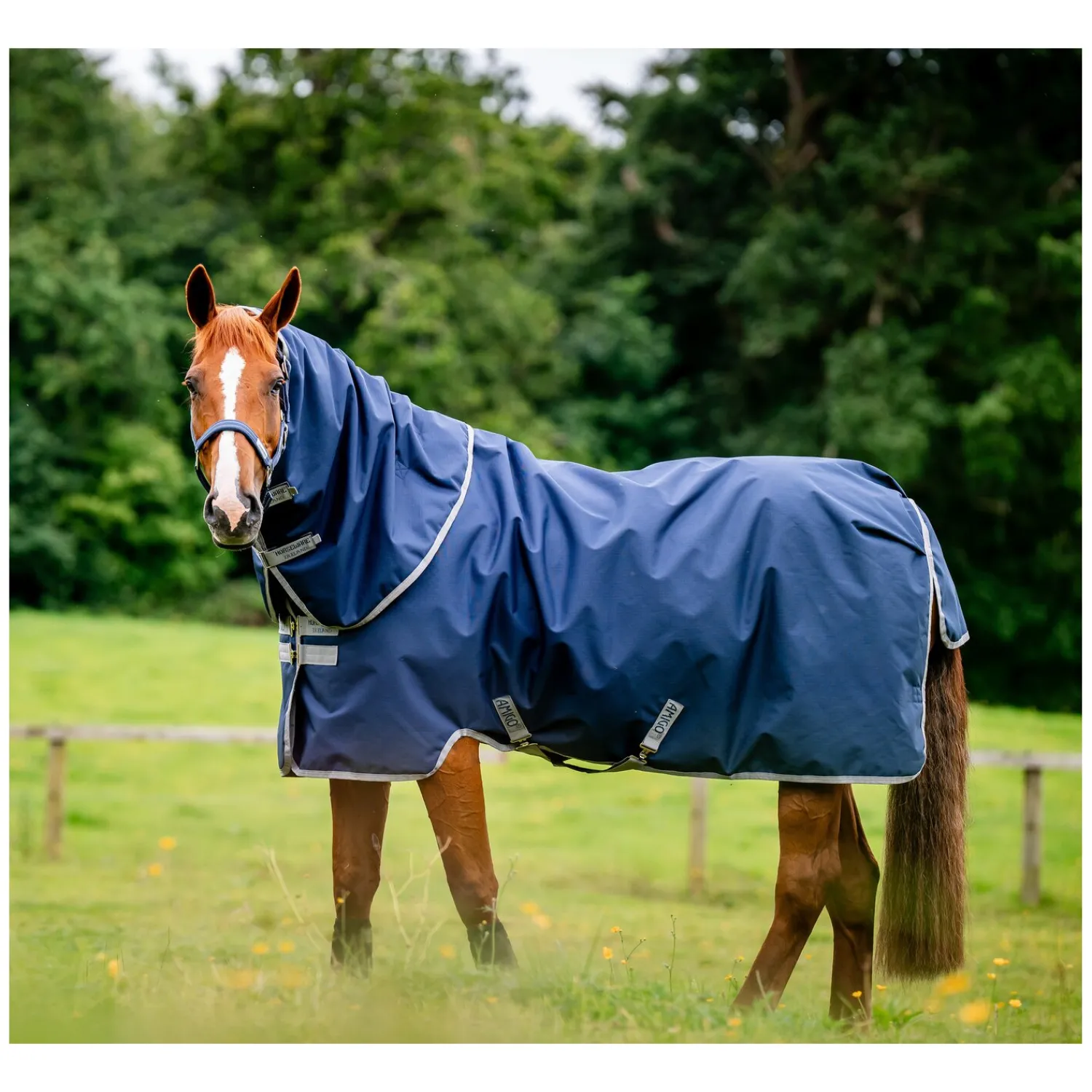 Horseware Pferdedecken<Weidedecke AMIGO Ripstop 900D Plus, 100g