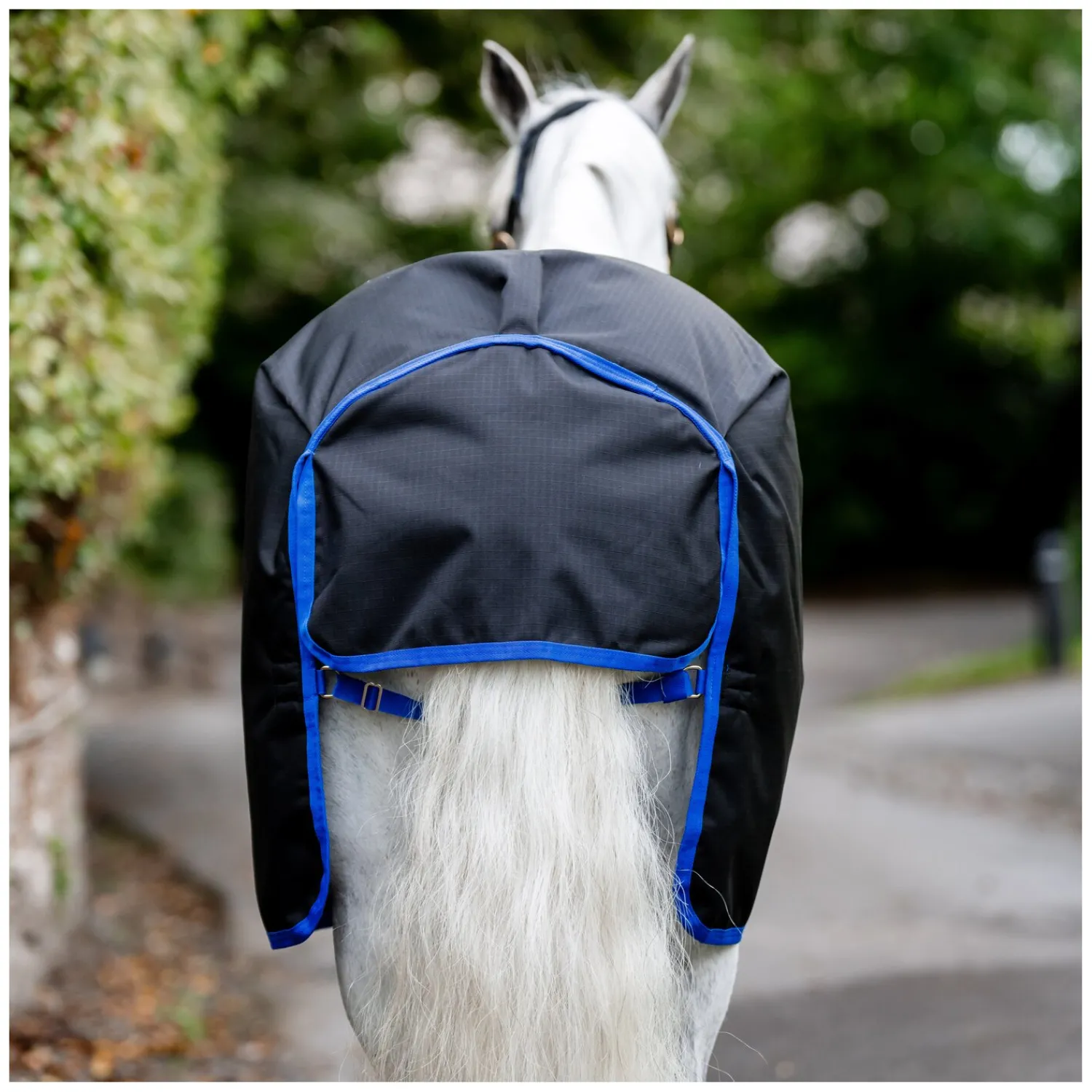 Horseware Pferdedecken<Weidedecke AMIGO Ripstop 900 Denier, 50g