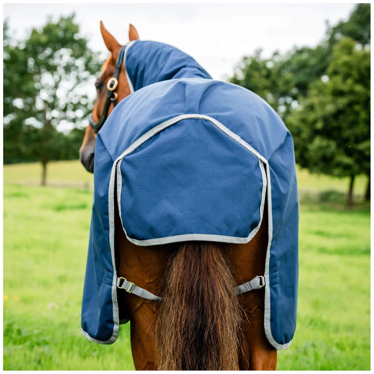 Horseware Pferdedecken<Weidedecke AMIGO Ripstop 900 Denier, 50g